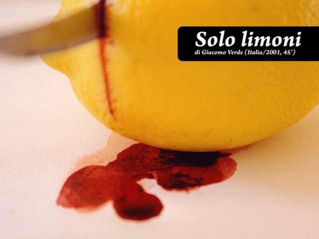 <i>Il limone è giallo, nasce in luglio.</i> di Silvia Ballestra